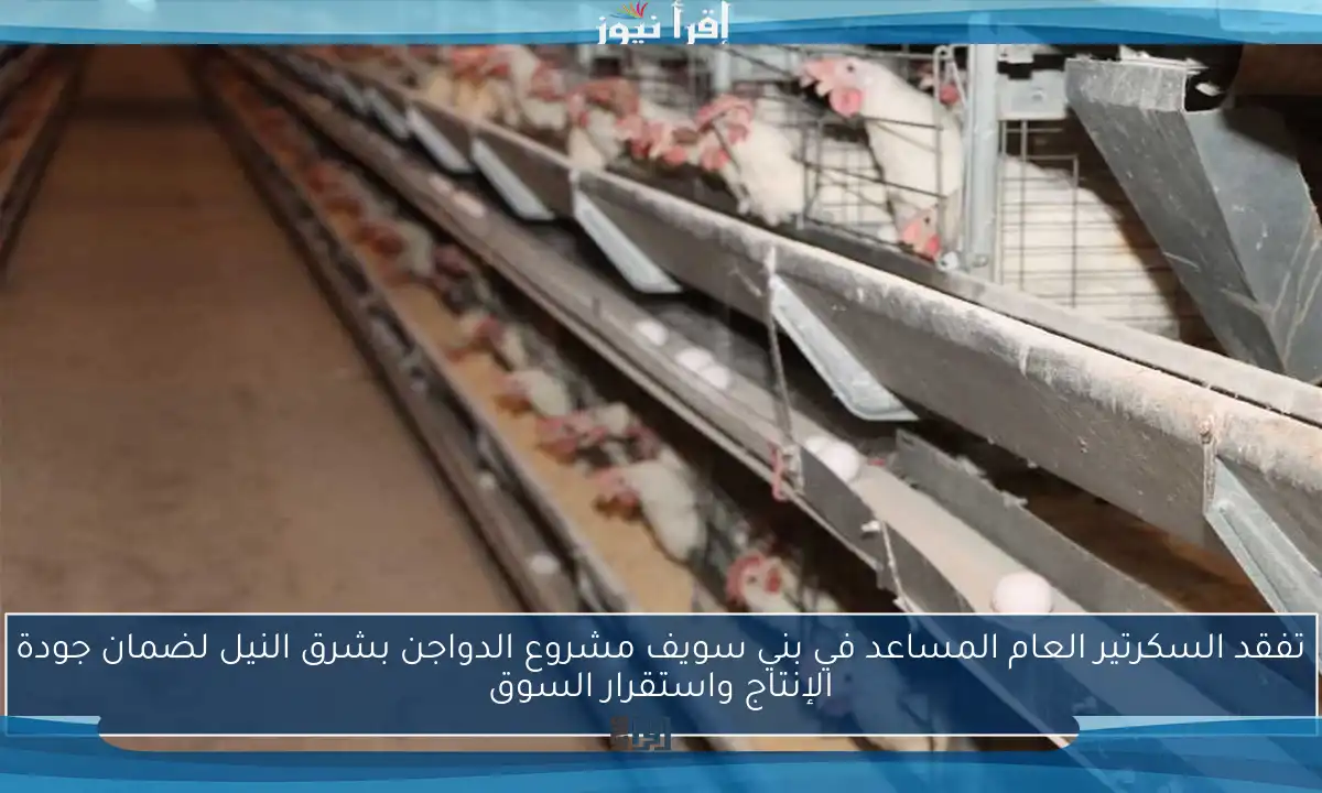 تفقد السكرتير العام المساعد في بني سويف مشروع الدواجن بشرق النيل لضمان جودة الإنتاج واستقرار السوق