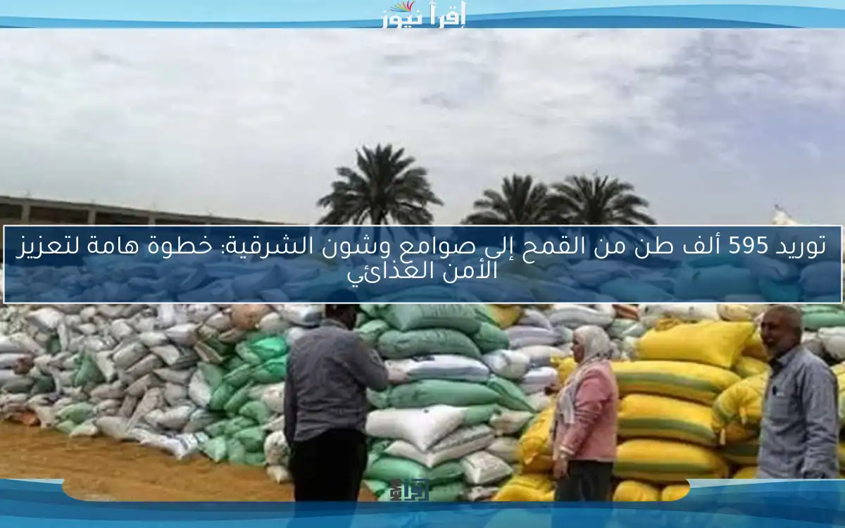 توريد 595 ألف طن من القمح إلى صوامع وشون الشرقية: خطوة هامة لتعزيز الأمن الغذائي