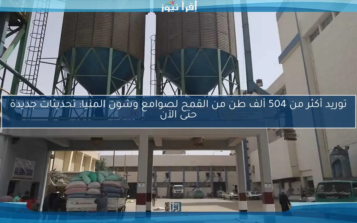 توريد أكثر من 504 ألف طن من القمح لصوامع وشون المنيا: تحديثات جديدة حتى الآن