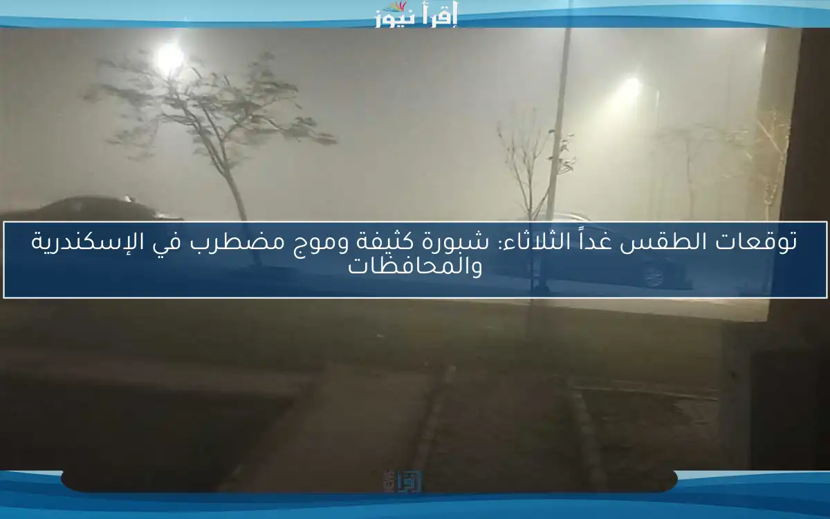 توقعات الطقس غداً الثلاثاء: شبورة كثيفة وموج مضطرب في الإسكندرية والمحافظات