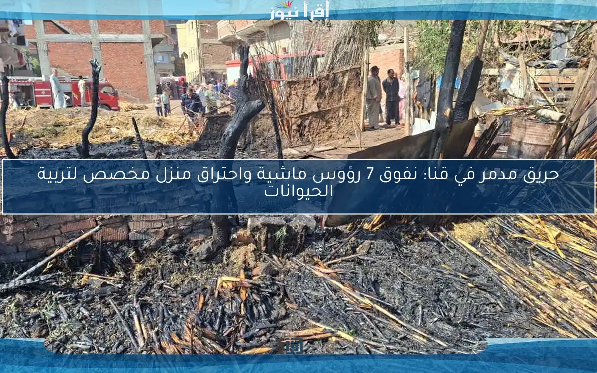 حريق مدمر في قنا: نفوق 7 رؤوس ماشية واحتراق منزل مخصص لتربية الحيوانات