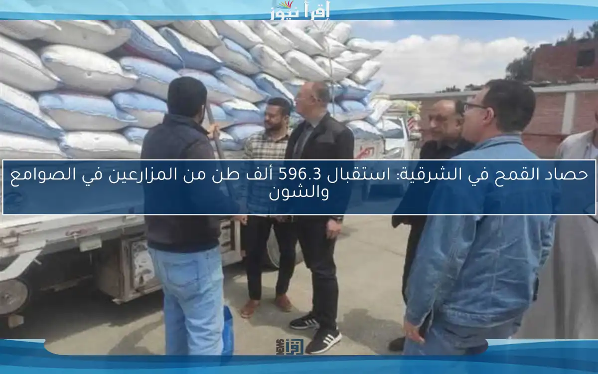 حصاد القمح في الشرقية: استقبال 596.3 ألف طن من المزارعين في الصوامع والشون