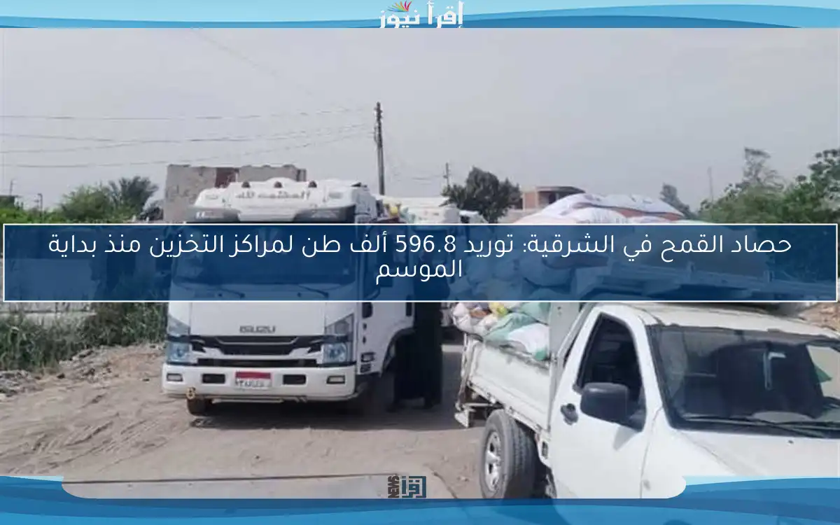 حصاد القمح في الشرقية: توريد 596.8 ألف طن لمراكز التخزين منذ بداية الموسم