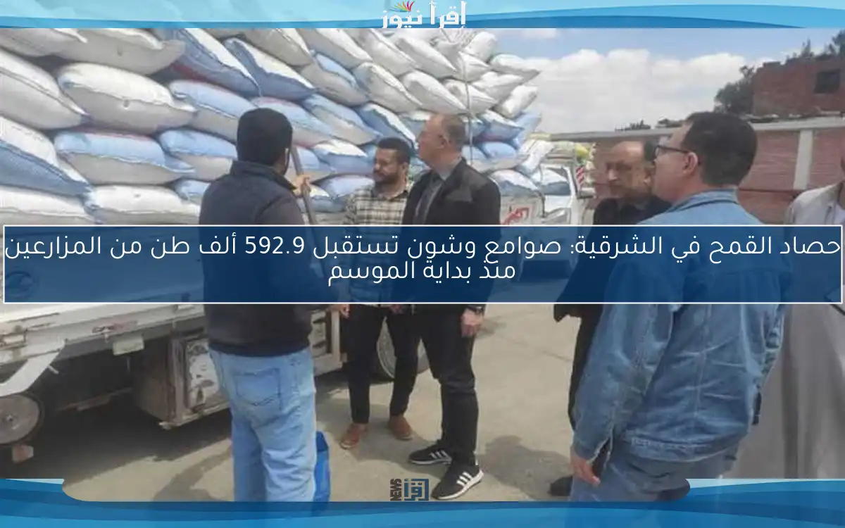 حصاد القمح في الشرقية: صوامع وشون تستقبل 592.9 ألف طن من المزارعين منذ بداية الموسم