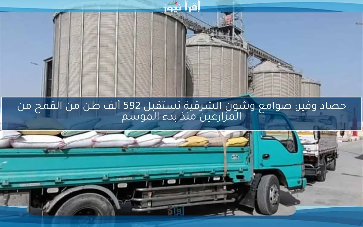 حصاد وفير: صوامع وشون الشرقية تستقبل 592 ألف طن من القمح من المزارعين منذ بدء الموسم