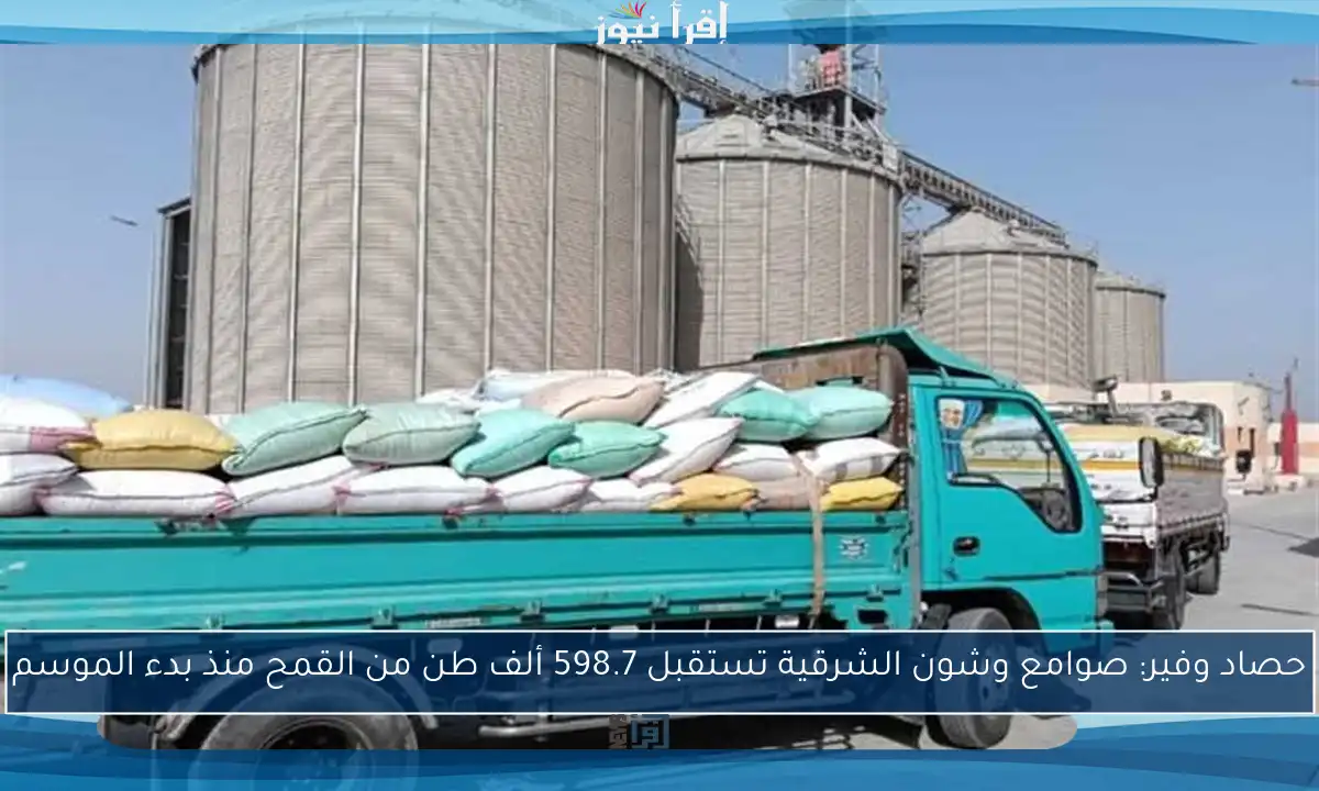 حصاد وفير: صوامع وشون الشرقية تستقبل 598.7 ألف طن من القمح منذ بدء الموسم
