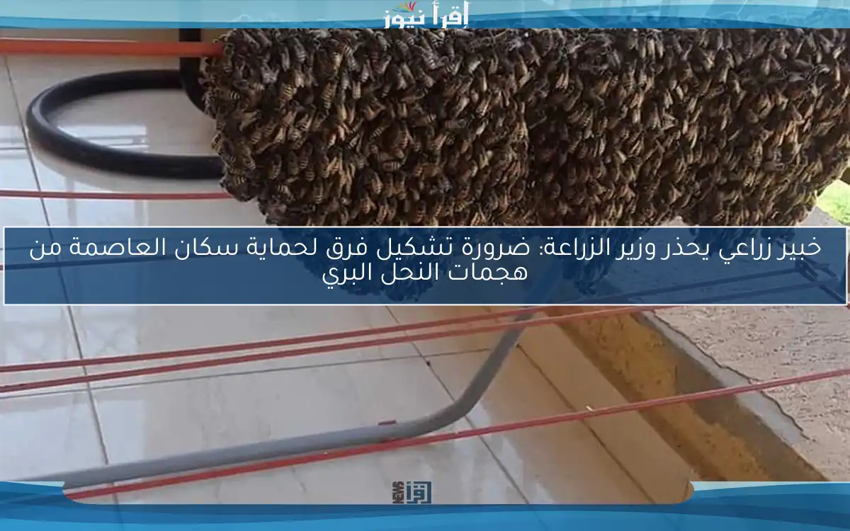 خبير زراعي يحذر وزير الزراعة: ضرورة تشكيل فرق لحماية سكان العاصمة من هجمات النحل البري