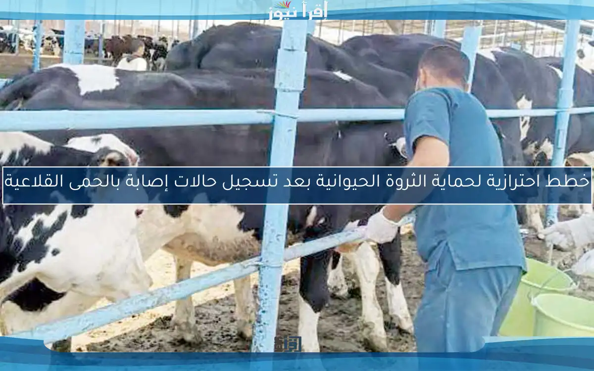 خطط احترازية لحماية الثروة الحيوانية بعد تسجيل حالات إصابة بالحمى القلاعية