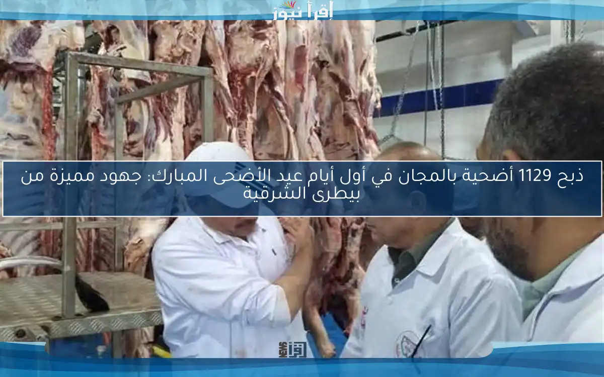ذبح 1129 أضحية بالمجان في أول أيام عيد الأضحى المبارك: جهود مميزة من بيطرى الشرقية