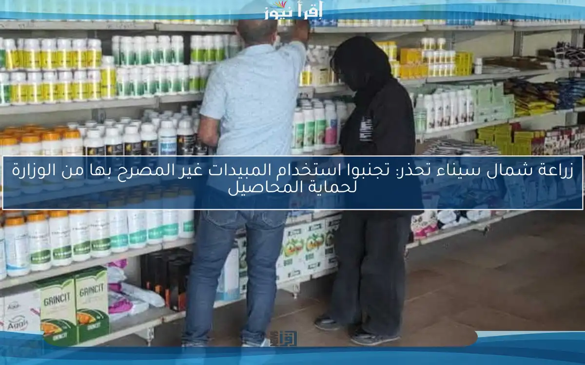 زراعة شمال سيناء تحذر: تجنبوا استخدام المبيدات غير المصرح بها من الوزارة لحماية المحاصيل