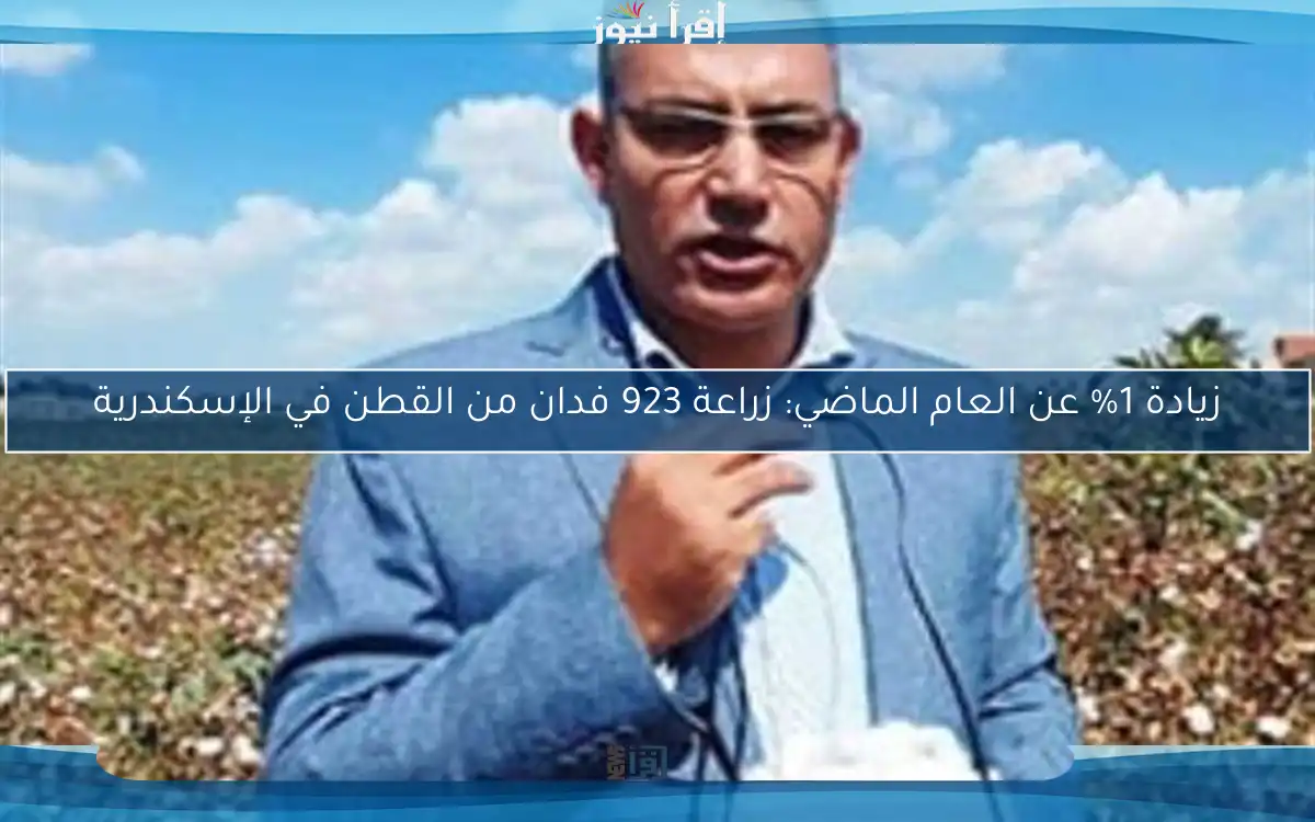 زيادة 1% عن العام الماضي: زراعة 923 فدان من القطن في الإسكندرية