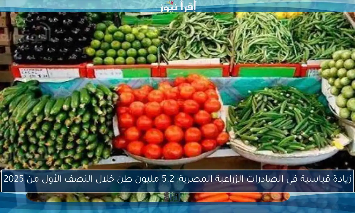 زيادة قياسية في الصادرات الزراعية المصرية: 5.2 مليون طن خلال النصف الأول من 2025