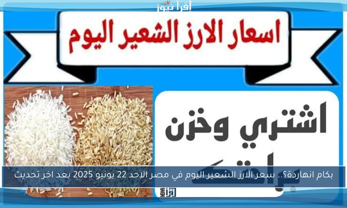 بكام انهاردة؟.. سعر الارز الشعير اليوم في مصر الاحد 22 يونيو 2025 بعد اخر تحديث