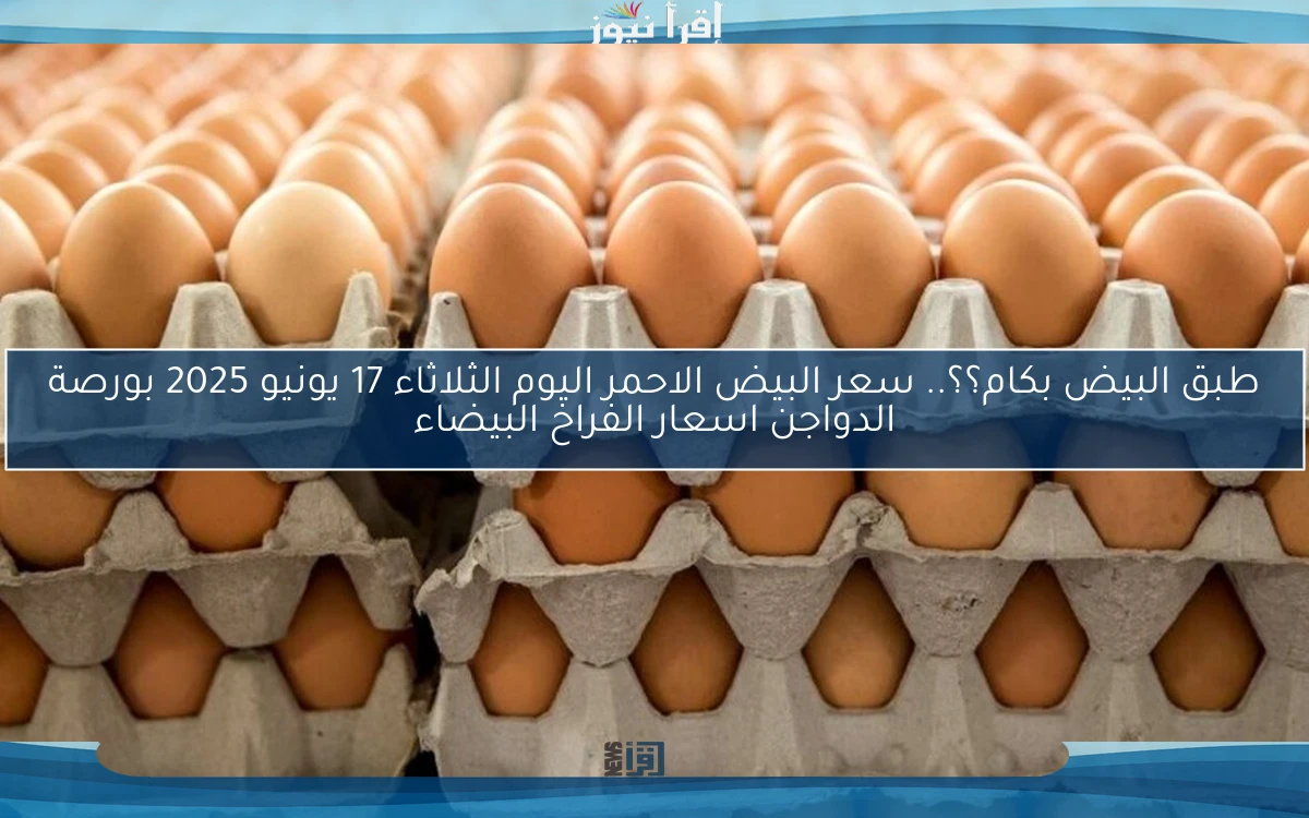 طبق البيض بكام؟؟.. سعر البيض الاحمر اليوم الثلاثاء 17 يونيو 2025 بورصة الدواجن اسعار الفراخ البيضاء