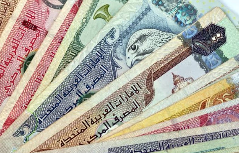 تحديث لحظي سعر الدرهم الاماراتي اليوم مقابل الجنية المصري الاربعاء 18/6/2025 في كريدي أجريكول