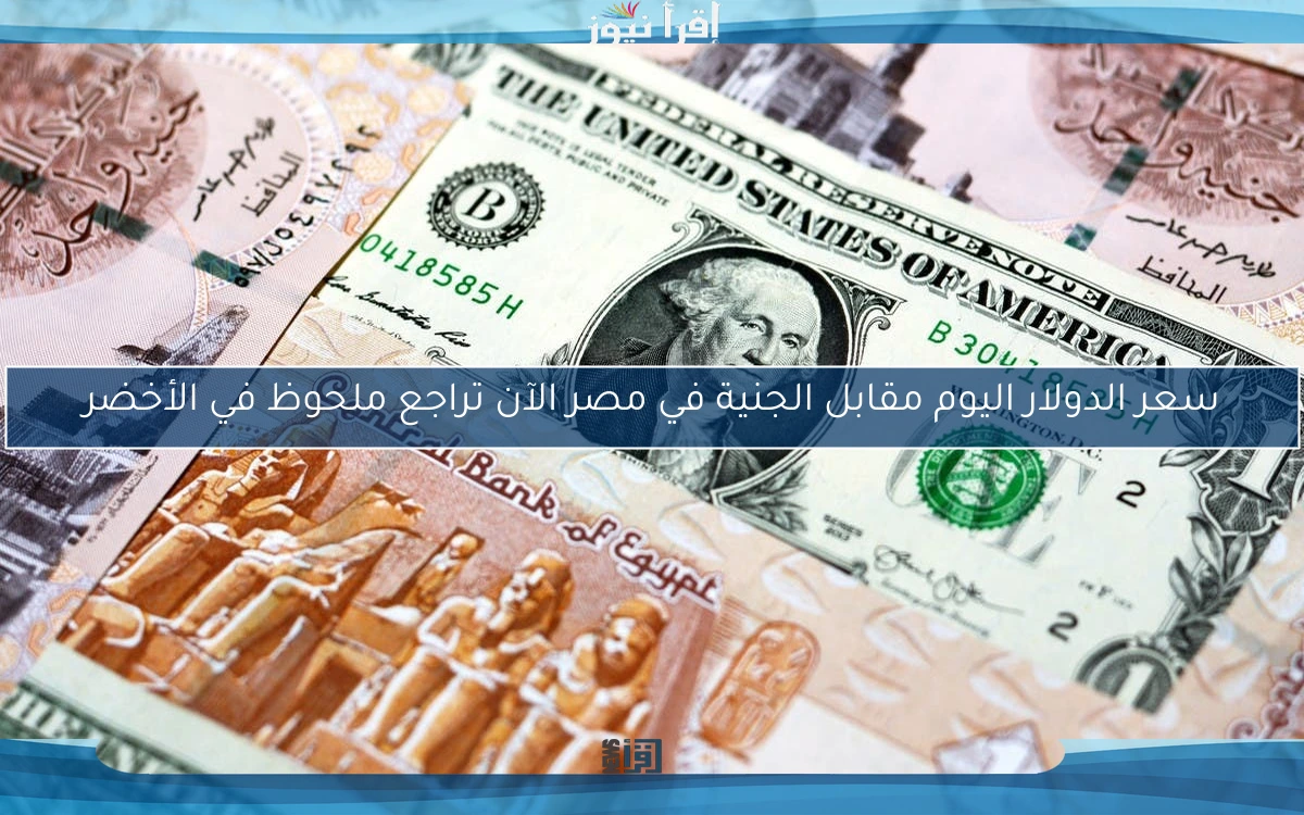 سعر الدولار اليوم مقابل الجنية في مصر الآن تراجع ملحوظ في الأخضر