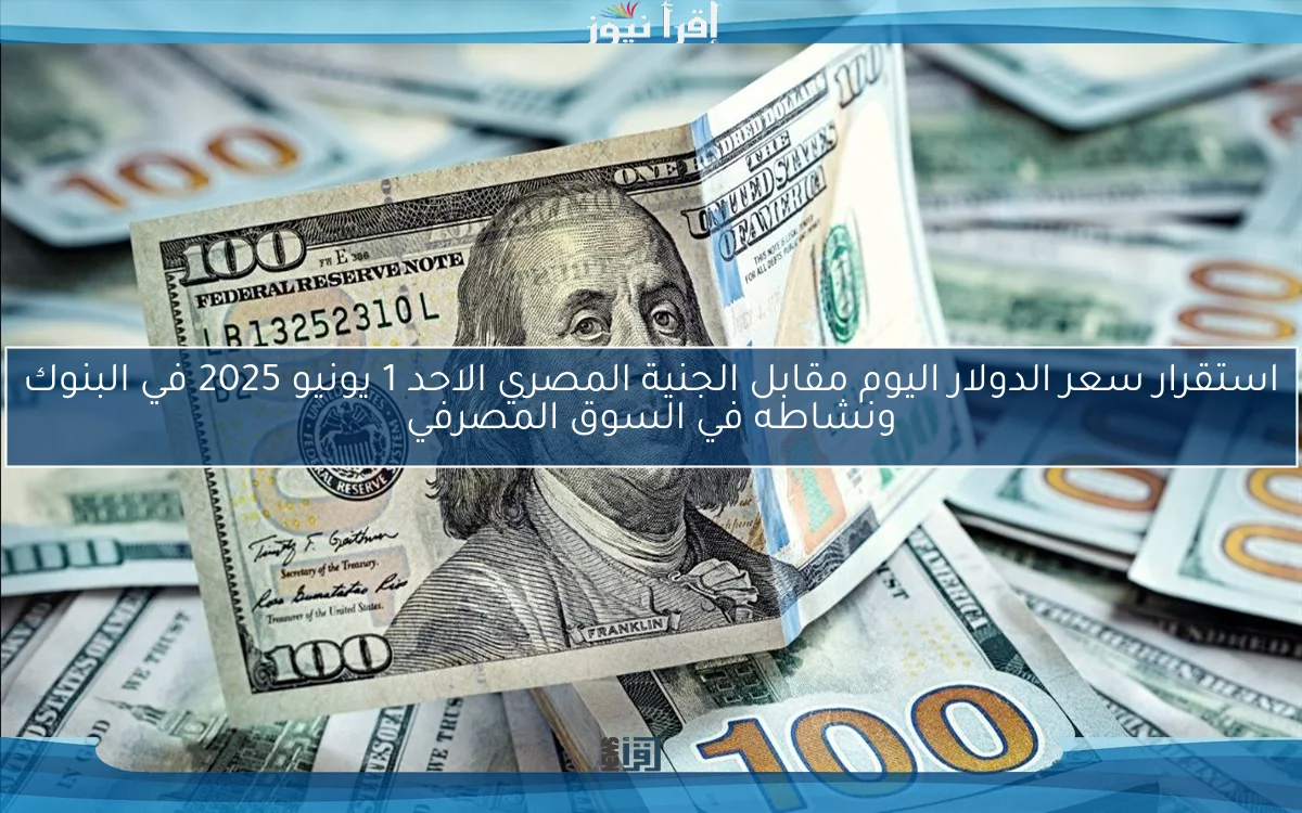 استقرار سعر الدولار اليوم مقابل الجنية المصري الاحد 1 يونيو 2025 في البنوك ونشاطه في السوق المصرفي