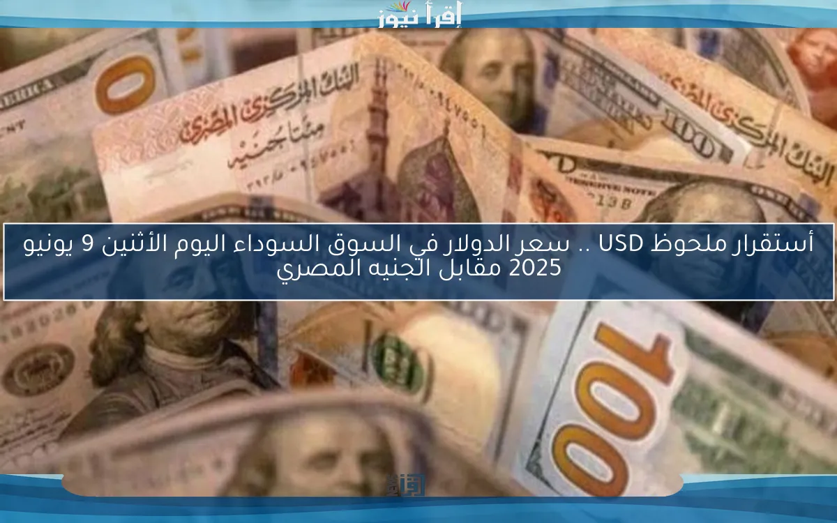 أستقرار ملحوظ USD .. سعر الدولار في السوق السوداء اليوم الأثنين 9 يونيو 2025 مقابل الجنيه المصري