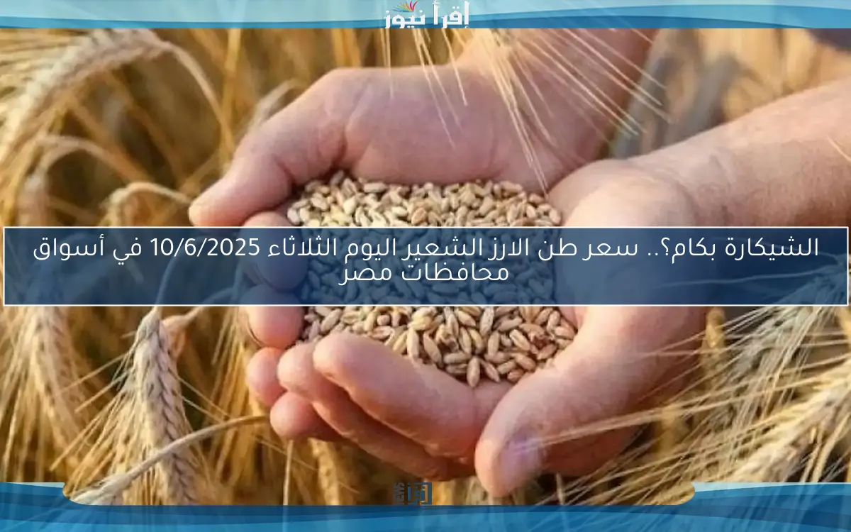 الشيكارة بكام؟.. سعر طن الارز الشعير اليوم الثلاثاء 10/6/2025 في أسواق محافظات مصر