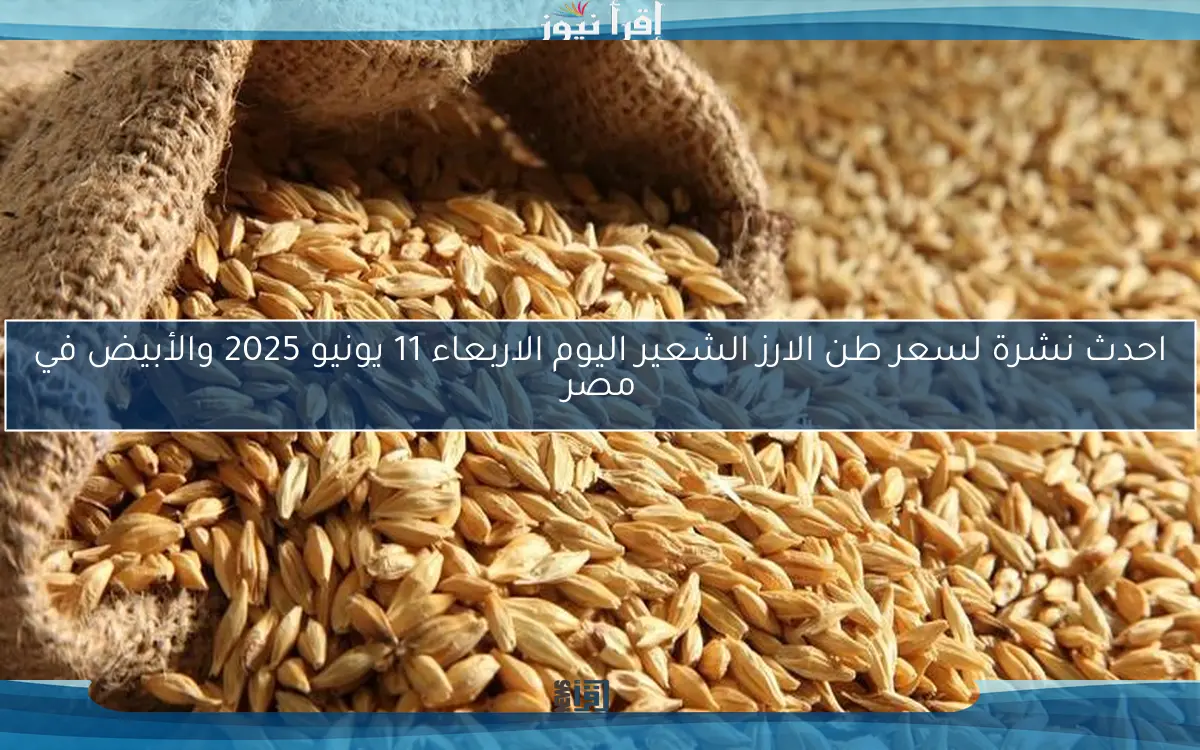 احدث نشرة لسعر طن الارز الشعير اليوم الاربعاء 11 يونيو 2025 والأبيض في مصر