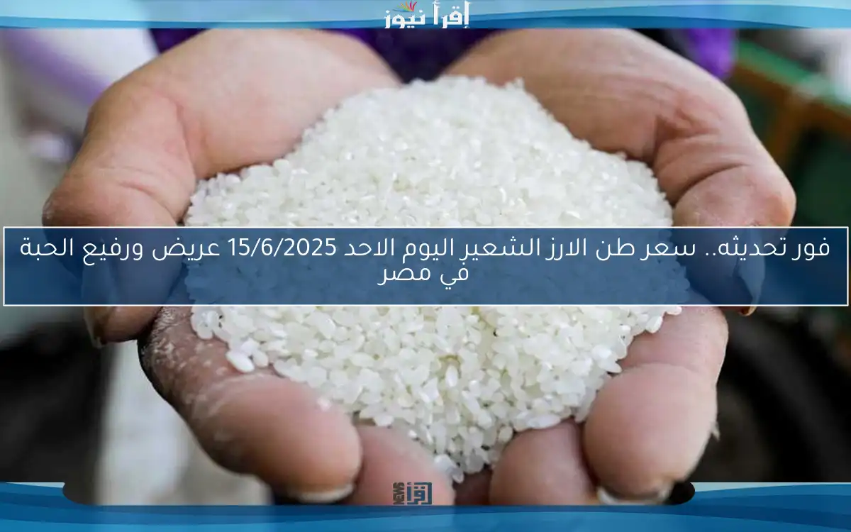 فور تحديثه.. سعر طن الارز الشعير اليوم الاحد 15/6/2025 عريض ورفيع الحبة في مصر