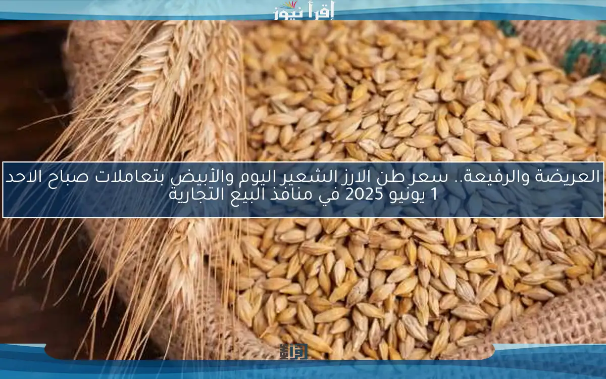 العريضة والرفيعة.. سعر طن الارز الشعير اليوم والأبيض بتعاملات صباح الاحد 1 يونيو 2025 في منافذ البيع التجارية