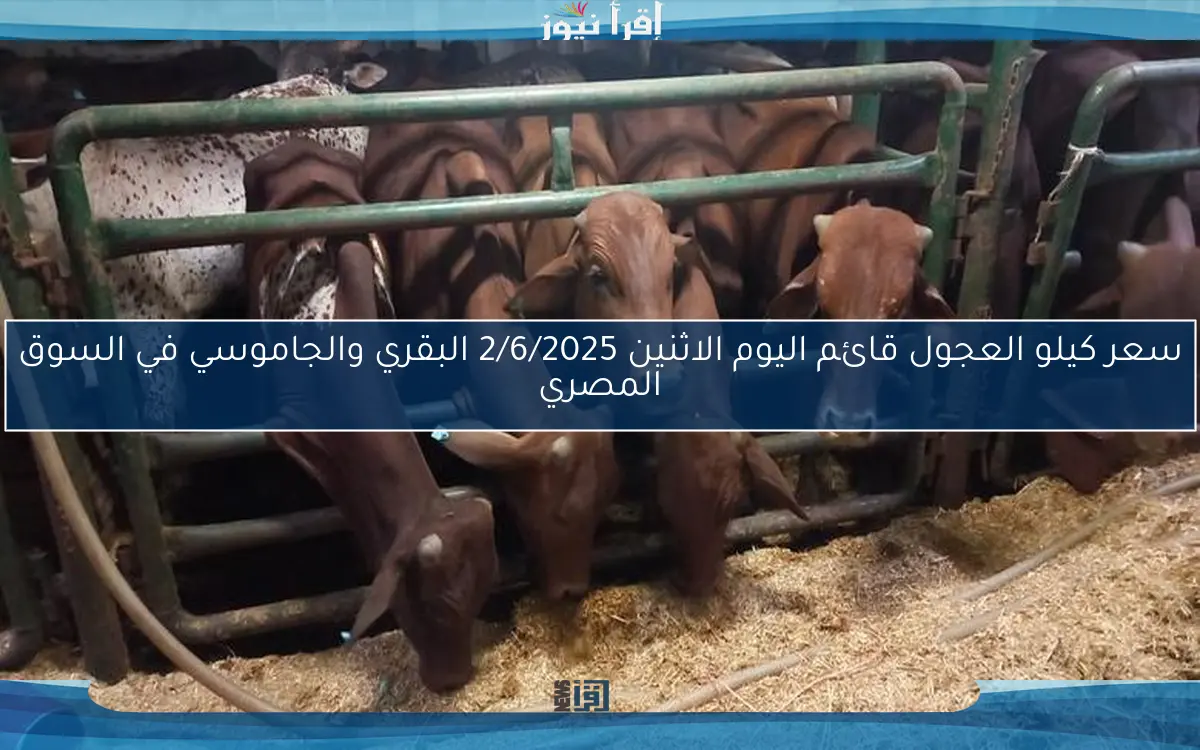 سعر كيلو العجول قائم اليوم الاثنين 2/6/2025 البقري والجاموسي في السوق المصري