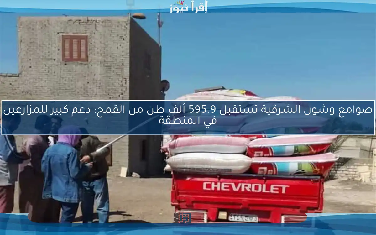 صوامع وشون الشرقية تستقبل 595.9 ألف طن من القمح: دعم كبير للمزارعين في المنطقة