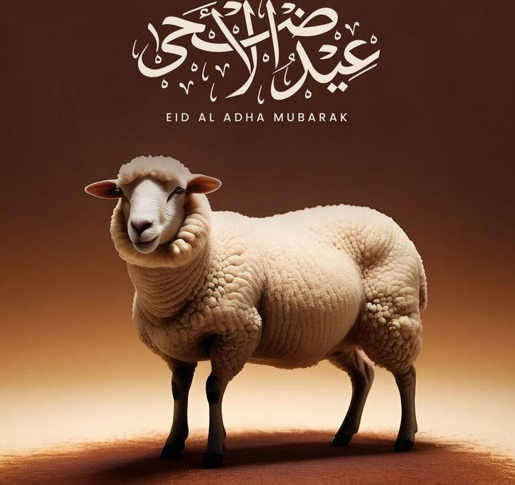 صور عيد الاضحي 2025