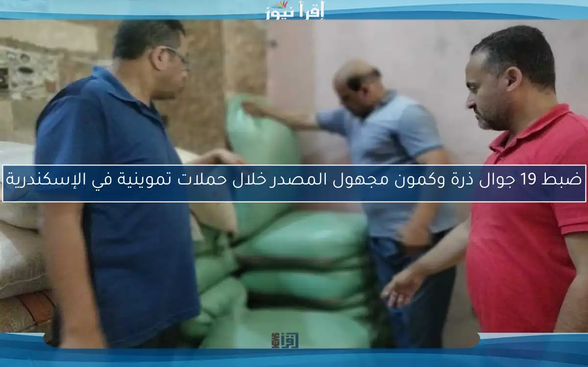 ضبط 19 جوال ذرة وكمون مجهول المصدر خلال حملات تموينية في الإسكندرية
