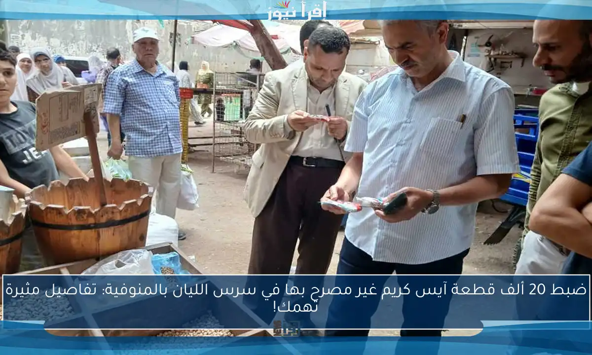 ضبط 20 ألف قطعة آيس كريم غير مصرح بها في سرس الليان بالمنوفية: تفاصيل مثيرة تهمك!