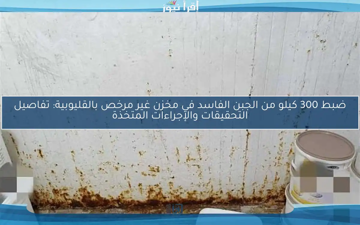 ضبط 300 كيلو من الجبن الفاسد في مخزن غير مرخص بالقليوبية: تفاصيل التحقيقات والإجراءات المتخذة