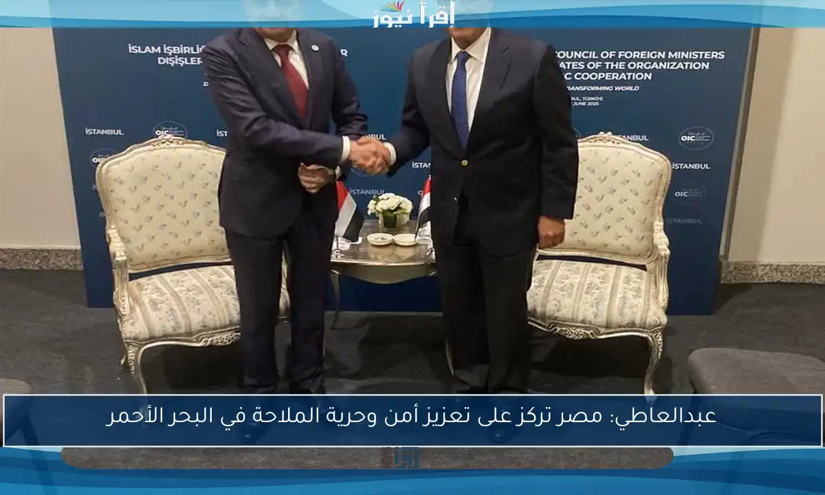عبدالعاطي: مصر تركز على تعزيز أمن وحرية الملاحة في البحر الأحمر
