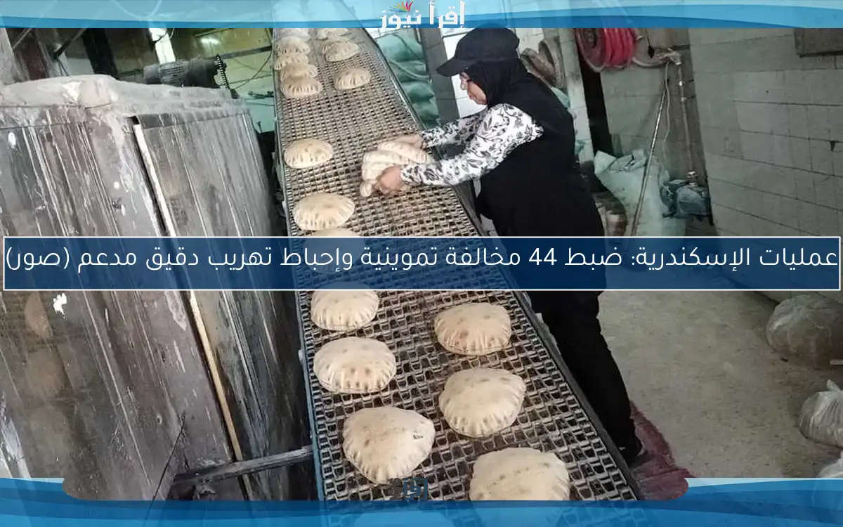 عمليات الإسكندرية: ضبط 44 مخالفة تموينية وإحباط تهريب دقيق مدعم (صور)