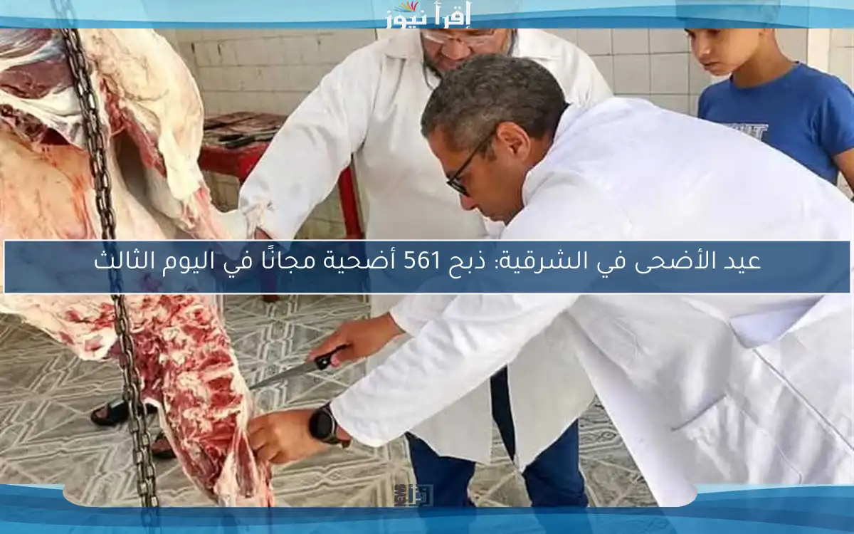 عيد الأضحى في الشرقية: ذبح 561 أضحية مجانًا في اليوم الثالث