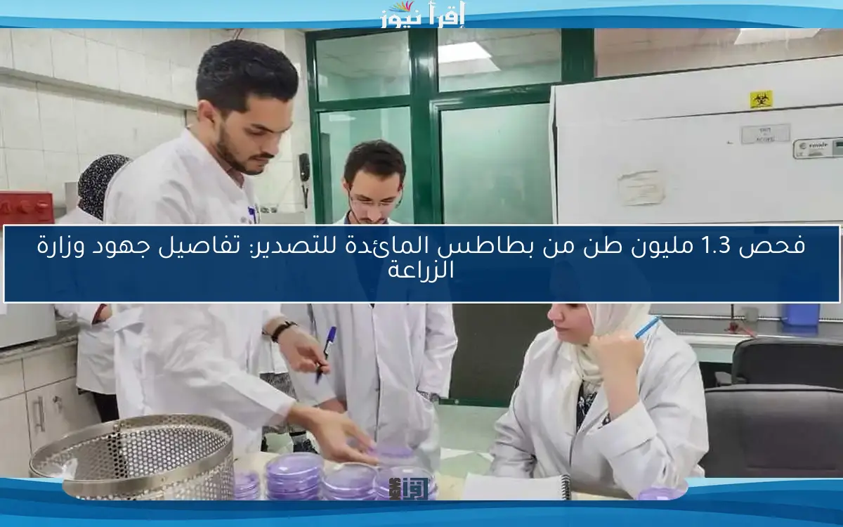 فحص 1.3 مليون طن من بطاطس المائدة للتصدير: تفاصيل جهود وزارة الزراعة