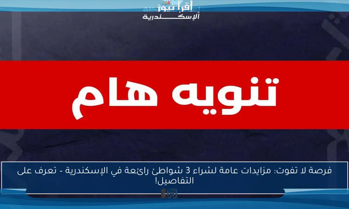 فرصة لا تفوت: مزايدات عامة لشراء 3 شواطئ رائعة في الإسكندرية – تعرف على التفاصيل!