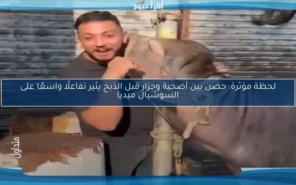 لحظة مؤثرة: حضن بين أضحية وجزار قبل الذبح يثير تفاعلًا واسعًا على السوشيال ميديا