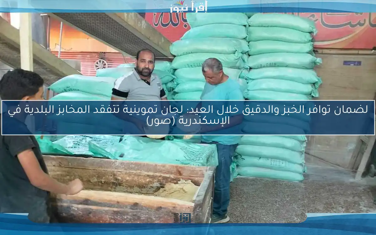 لضمان توافر الخبز والدقيق خلال العيد: لجان تموينية تتفقد المخابز البلدية في الإسكندرية (صور)