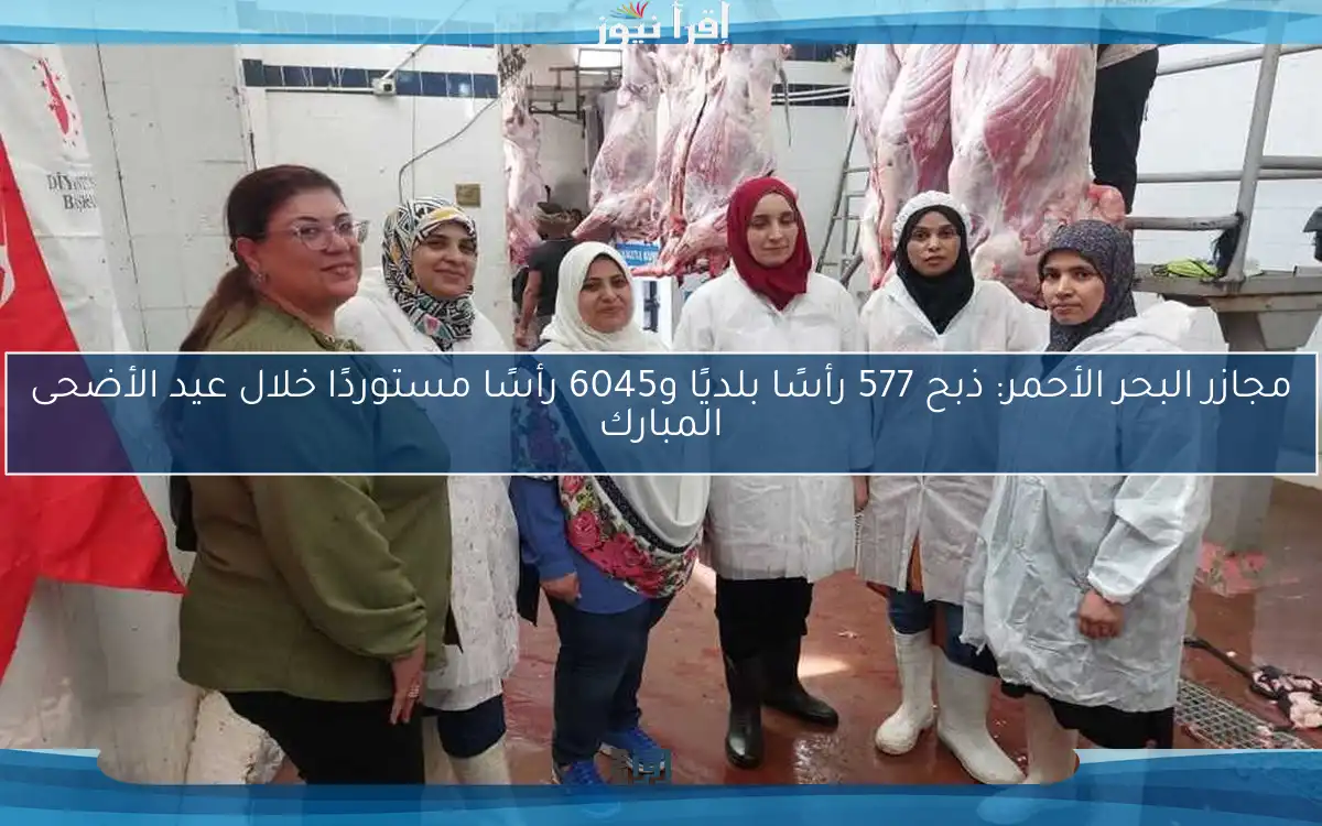 مجازر البحر الأحمر: ذبح 577 رأسًا بلديًا و6045 رأسًا مستوردًا خلال عيد الأضحى المبارك