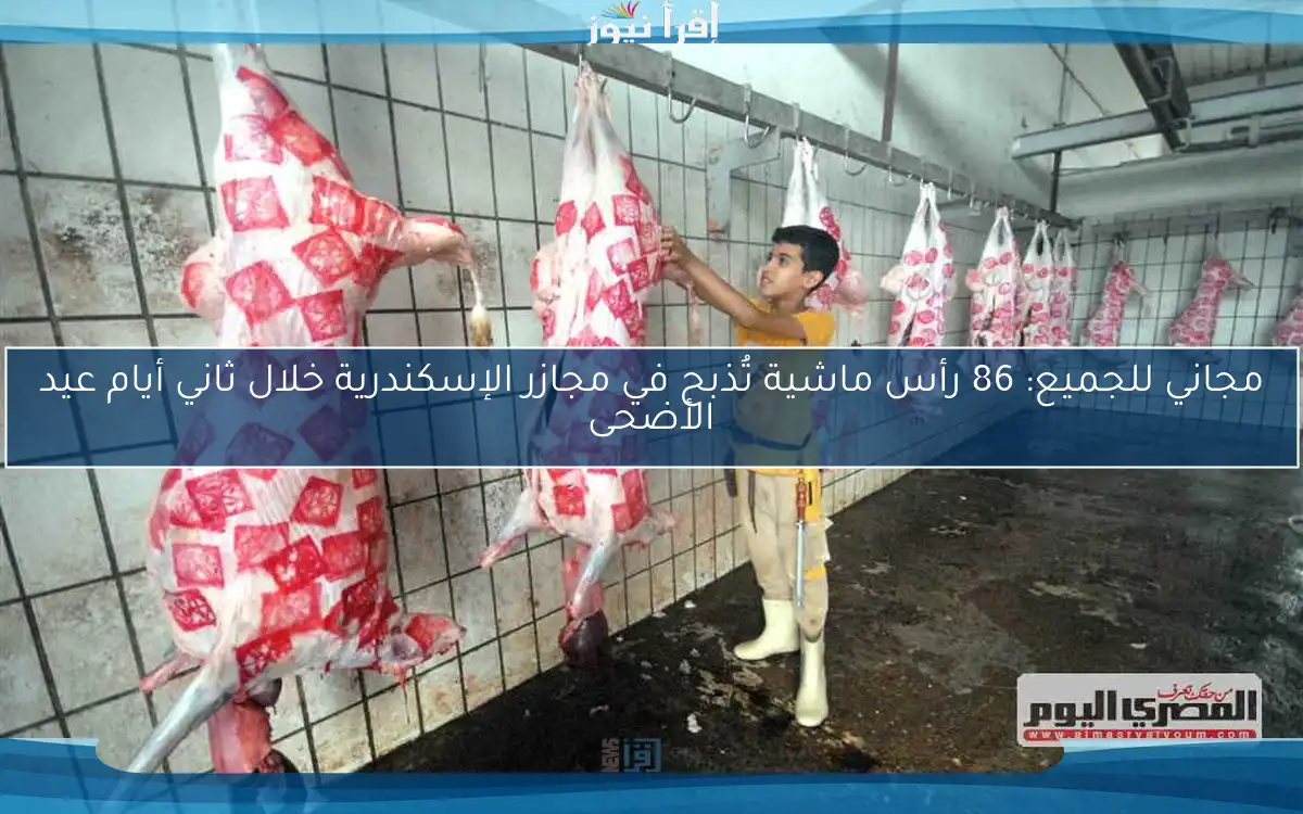 مجاني للجميع: 86 رأس ماشية تُذبح في مجازر الإسكندرية خلال ثاني أيام عيد الأضحى