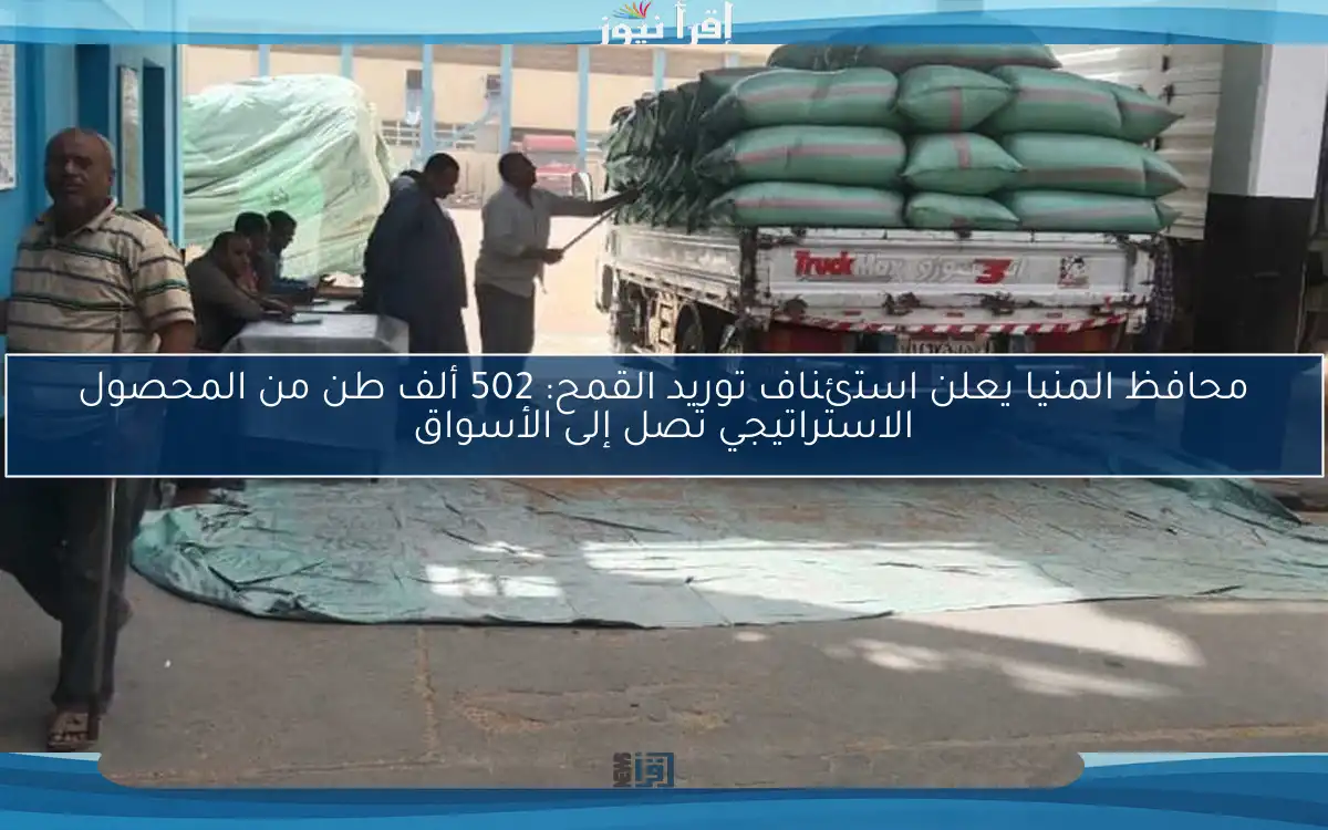محافظ المنيا يعلن استئناف توريد القمح: 502 ألف طن من المحصول الاستراتيجي تصل إلى الأسواق