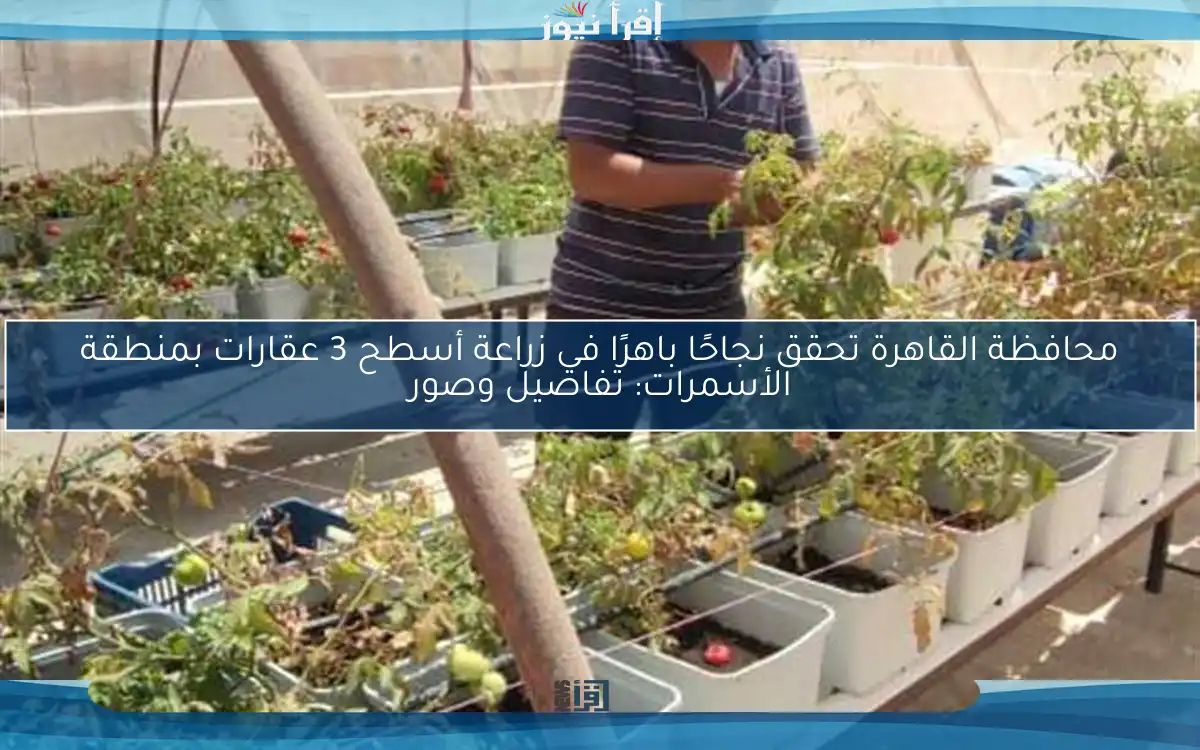محافظة القاهرة تحقق نجاحًا باهرًا في زراعة أسطح 3 عقارات بمنطقة الأسمرات: تفاصيل وصور