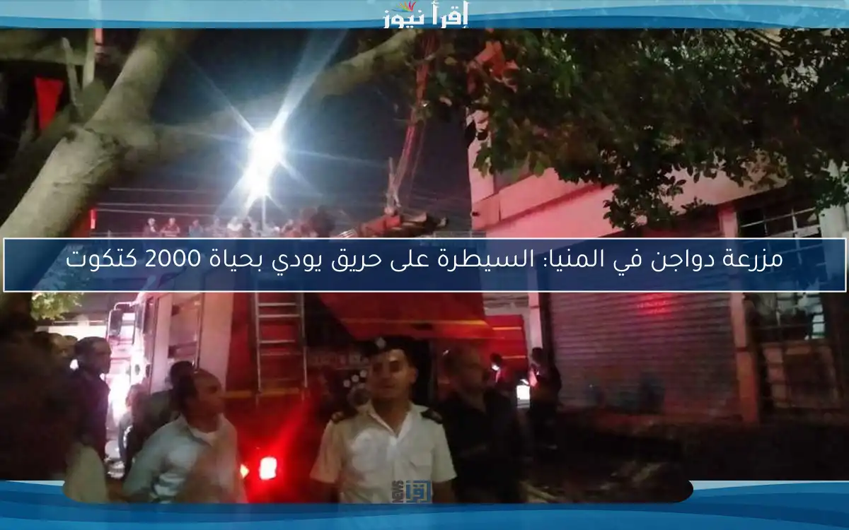 مزرعة دواجن في المنيا: السيطرة على حريق يودي بحياة 2000 كتكوت