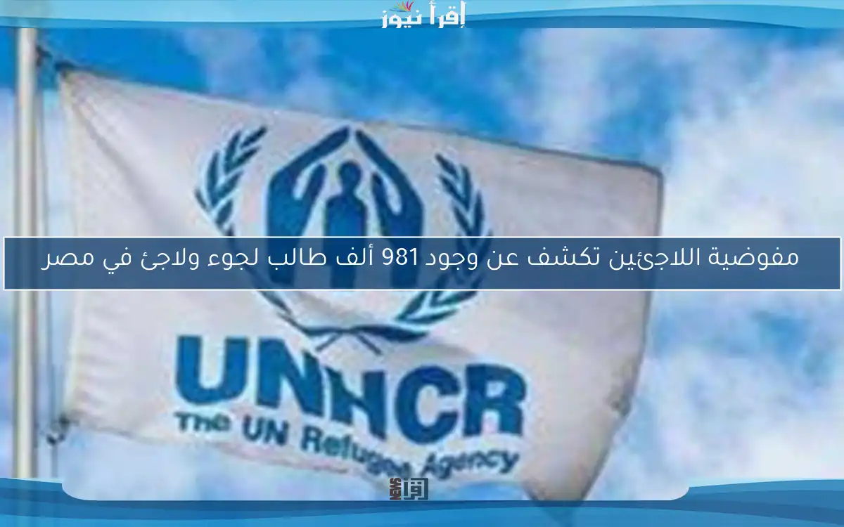مفوضية اللاجئين تكشف عن وجود 981 ألف طالب لجوء ولاجئ في مصر