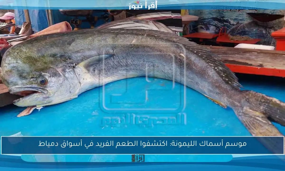 موسم أسماك الليمونة: اكتشفوا الطعم الفريد في أسواق دمياط