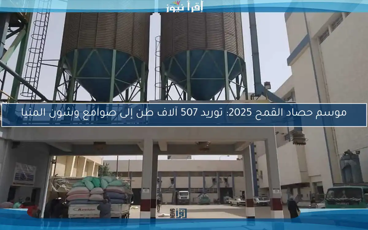 موسم حصاد القمح 2025: توريد 507 آلاف طن إلى صوامع وشون المنيا