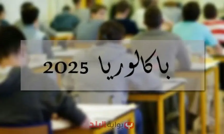 نسب النجاح في البكالوريا تونس وموعد صدور النتائج 2025 ترتيب الشعب والنسب التقريبية