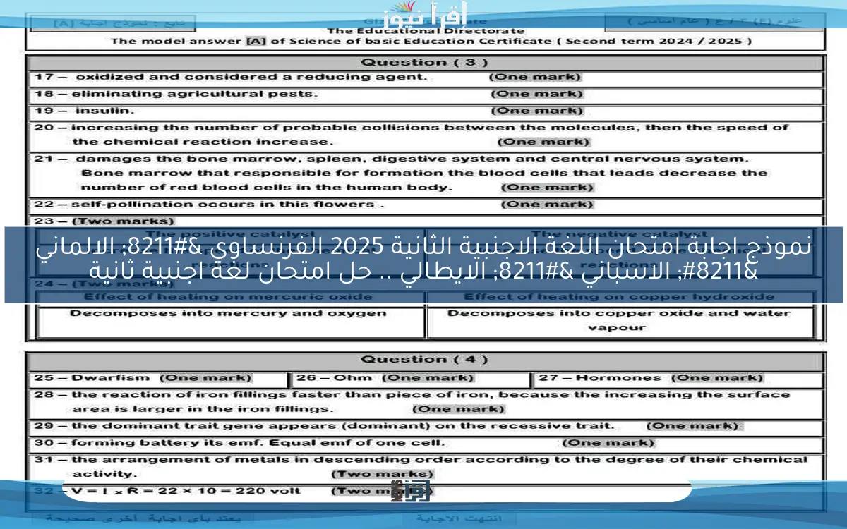 راجع حلك pdf .. نموذج اجابة امتحان اللغة الاجنبية الثانية 2025 الفرنساوي – الالماني – الاسباني – الايطالي .. حل امتحان لغة اجنبية ثانية