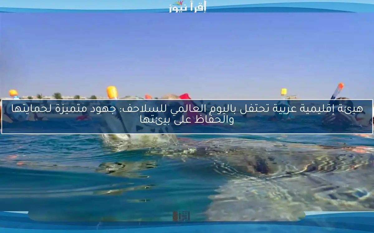 هيئة إقليمية عربية تحتفل باليوم العالمي للسلاحف: جهود متميزة لحمايتها والحفاظ على بيئتها